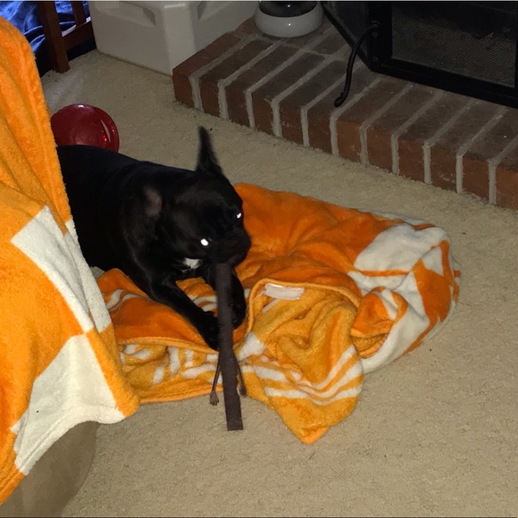 Meet your Posher, Debi - Picture 13 of 15